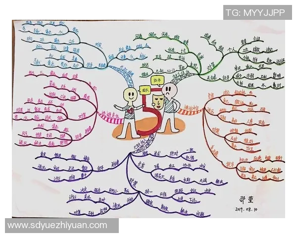 上海排球队的团队协作精神与战术配合探讨
