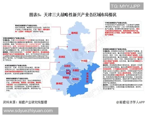 上海网球队的战略布局与深度分析揭示网球运动的未来发展趋势